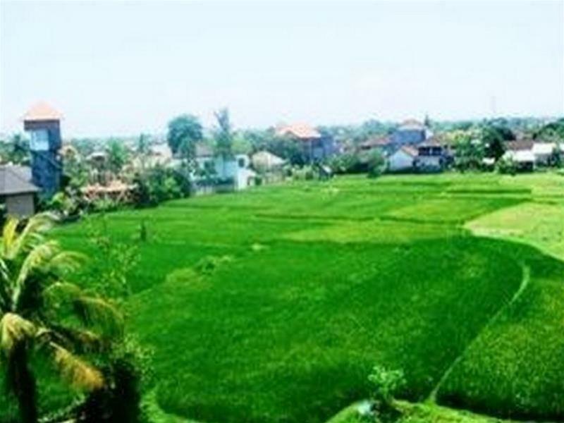 Nuriani Guest House Ubud Kültér fotó